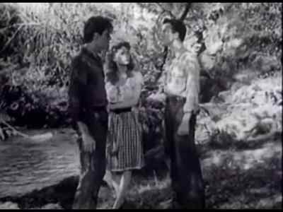 Remember when I had to learn to
walk again, - The Red House