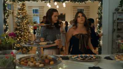 Remember, it's "fun, food,
dancing, and distractions." - Holiday Crashers