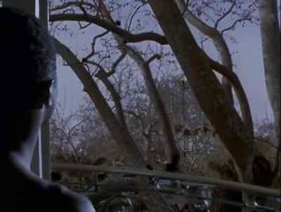 Remember, not a peep,
or she dies. - A Murder of Crows