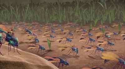 Remember, you only get one shot at it. - The Ant Bully