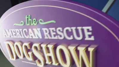 Remember,
special needs dogs - 2022 American Rescue Dog Show