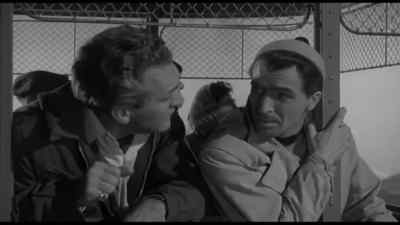 Remember the telephone
wires at the hut? - The Crawling Eye