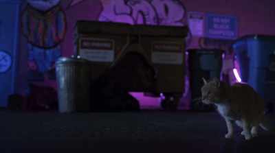 Remember, you wanted some action.
This is what you've always wanted. - Cats & Dogs 3: Paws Unite