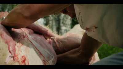 "Remove the abdominal viscera." - Earth Abides
