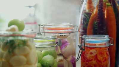 Replace: What can we do
to replace gut bacteria? - Human: The World Within