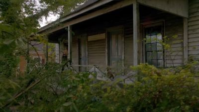 Repo oma dal most. - The Originals