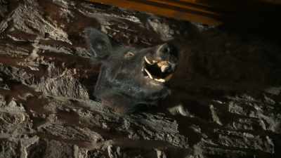 Reported to be a hot bed
for supernatural activity. - Spooked Scotland