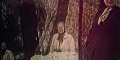 Reporter 1:
Apparently, Mrs. Oetting
had failed to wind - The Murders at Starved Rock