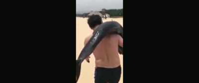 (reporter 11): A tourist has
been caught on camera - The Last Tourist