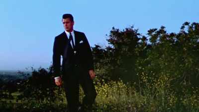 Reporter 2: Since AIDS
is primarily a disease - Rock Hudson: All That Heaven Allowed