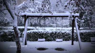 Reporter #3:
THE DAY IS SUNDAY, - Children of the Snow