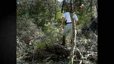 - [Reporter] Central
Florida is being threatened - First Blood