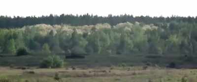 - [Reporter] In a move
that has angered Russia - Revealing Ukraine