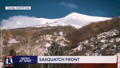 - [Reporter] It was a
bluebird January morning - Secrets of the Sasquatch