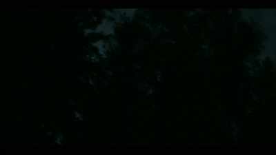 [reporter] It disappeared
behind the trees - Beyond: UFOS and the Unknown