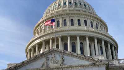 REPORTER:No doubt lawmakers are
furious - Diamond Hands: The Legend of WallStreetBets