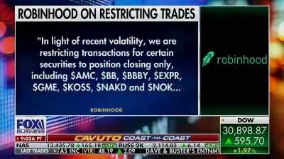 REPORTER:Robinhood put out a
statement, - Diamond Hands: The Legend of WallStreetBets
