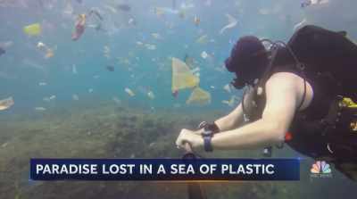  Reporter: Searching for a fish, - The Story of Plastic