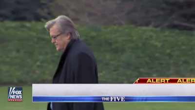 Reporter:
Steve Bannon is
leaving his post - Q: Into the Storm
