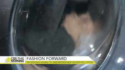  Reporter: The polyester fibers
 that you take into your lungs, - The Story of Plastic
