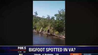- [Reporter] This
was shot apparently - Secrets of the Sasquatch
