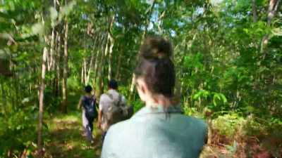 Rescuing an orangutan
from where it, you know, - Why on Earth