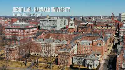 Researchers at Harvard
are working to decode - Inside the Mind of a Dog