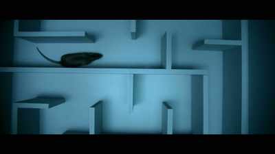 Researchers use maze studies - The Mandela Effect