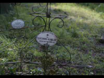 REST IN PEACE
SISTER SOCORRO ALBELDA - Sister Death