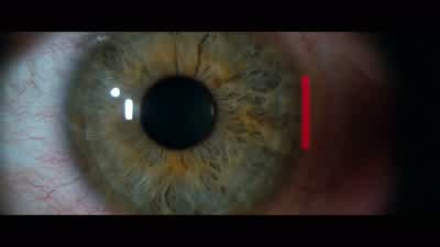 Retina coding accepted, Warden William Smithers. - Demolition Man