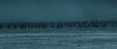 Retreat! - Napoleon
