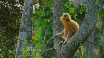 Returning to this bay
year after year, - A Year on Planet Earth