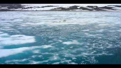 ...reveal their secrets, - Our Oceans
