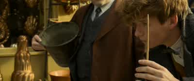 Revelio. - Fantastic Beasts: The Crimes of Grindelwald