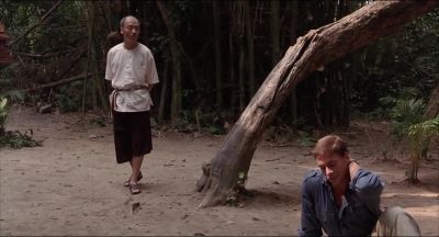 Revenge is a dangerous motive - Kickboxer