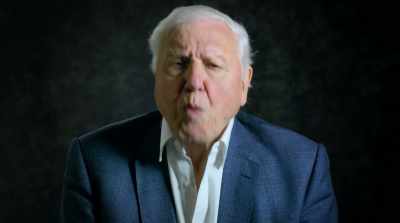 Rewilding the world is simpler
than you might think. - David Attenborough: A Life on Our Planet