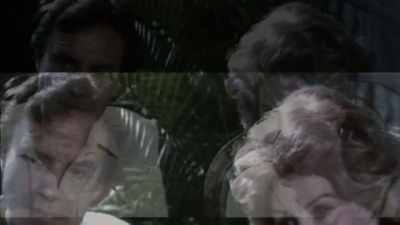 [rewind play] - The Cult of The Family