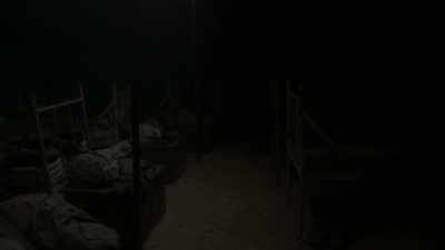 [rhythmic insect trilling] - Haunted