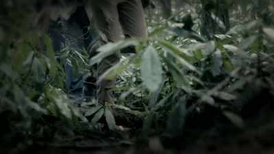Richard had been
preparing the escape - Mother Undercover