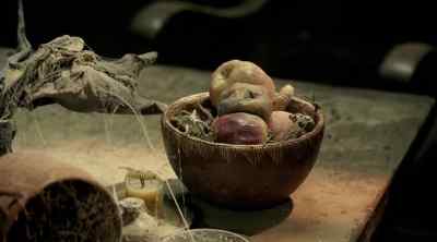 RICHARD: I would've liked to have known him. - Legend of the Seeker