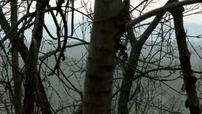 RICHARD WAS AN OUTDOORSMAN, - Bloodlands