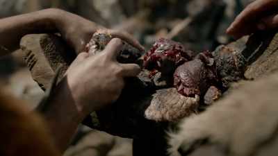 RICHARD WRANGHAM: SO, COOKING
WITH FIRE WAS WONDERFUL - Origins: The Journey of Humankind