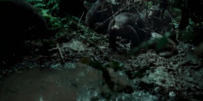 Richmond has Jackson pinned to the ground. - Chimp Empire