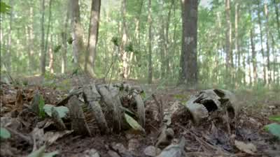 It was secure. - The Walking Dead