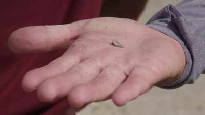RICK:
That's from
the Space Shuttle Challenger. - Beyond Oak Island
