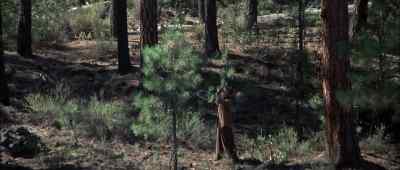 (RIDERS APPROACHING) - Rooster Cogburn