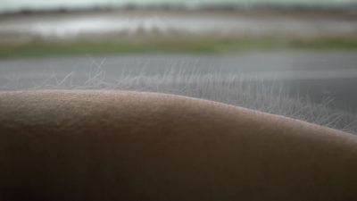 Riders on the storm - Fringe