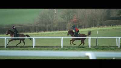 Riding a young, highly
strung two-year-old colt - Horsepower