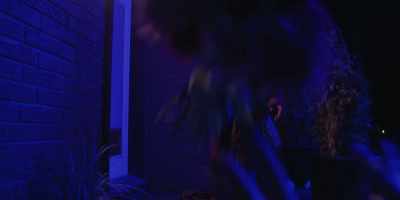 ♪ Riding through history
riding through time ♪ - My Husband Hired a Hitman