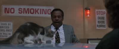 Everybody's outside Just me you and this cat are dumb enough to be hereNearly a cat tastrophe huh Heh - Lethal Weapon 3